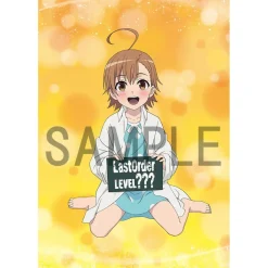 A Certain Scientific Accelerator Last Order Life-Size Blanket