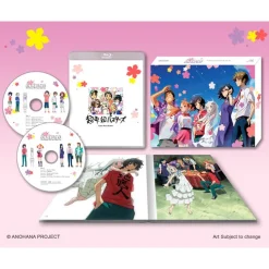 Anohana: The Flower We Saw That Day TV Series Complete Blu-ray Box Set