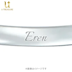 Attack on Titan Eren Solitaire Ring
