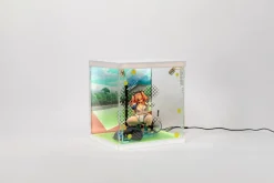 Azur Lane Bremerton Special Case