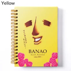 Banao A6 Double Ring Notebook