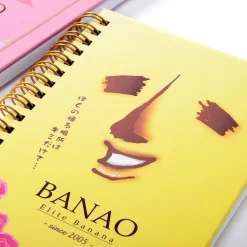 Banao A6 Double Ring Notebook