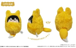 Bungo Stray Dogs Kurumi Tapinui Fox Ver. Box Set