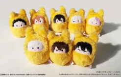 Bungo Stray Dogs Kurumi Tapinui Fox Ver. Box Set