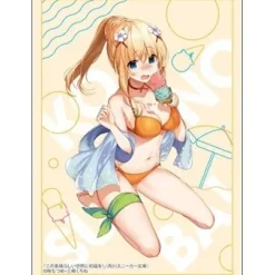 Bushiroad Sleeve Collection High-Grade Vol. 4791 Kadokawa Sneaker Bunko KonoSuba: God's Blessing on This Wonderful World! Darkness Swimwear Ver.