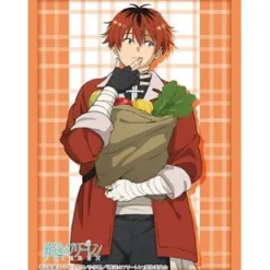 Bushiroad Sleeve Collection High-Grade Vol. 4341 Frieren: Beyond Journey's End Stark Part 2