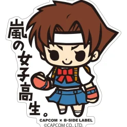 Capcom x B-Side Label Rival Schools Stickers