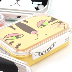 Cat Square Lunch Boxes