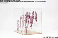 Collection Case L Acrylic Stage (2 Step Height 60mm/30mm)