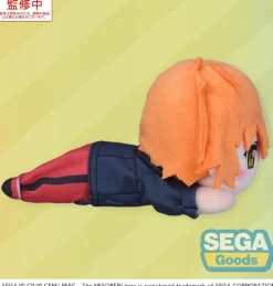 Colorful Stage! The Movie: A Miku Who Can't Sing Nesoberi Plushie Shinonome Akito