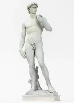 David 1/35 Scale Plastic Model