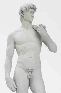 David 1/35 Scale Plastic Model