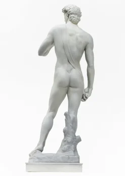 David 1/35 Scale Plastic Model