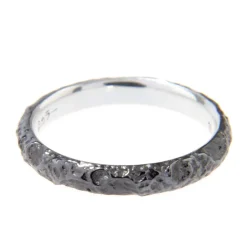 Evangelion Silver Black Moon Ring