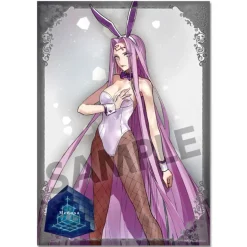 Fate/Extella A3 Clear Poster Collection