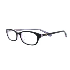 Hatsune Miku 10th Anniversary Computer Glasses Set