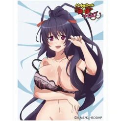 High School DxD Hero Sleeve Akeno Himejima