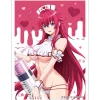 High School DxD Hero Sleeve Rias Gremory: White Nurse Ver.