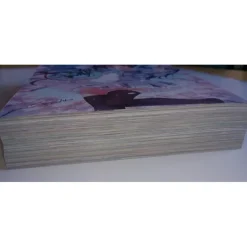 Himekuri 365 2017 Tear-Off Calendar