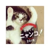 Himekuri Nyanko! Cat Photo 2018 Desktop Daily Calendar