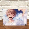 IDOLiSH 7 Second Beat! Acrylic Panel