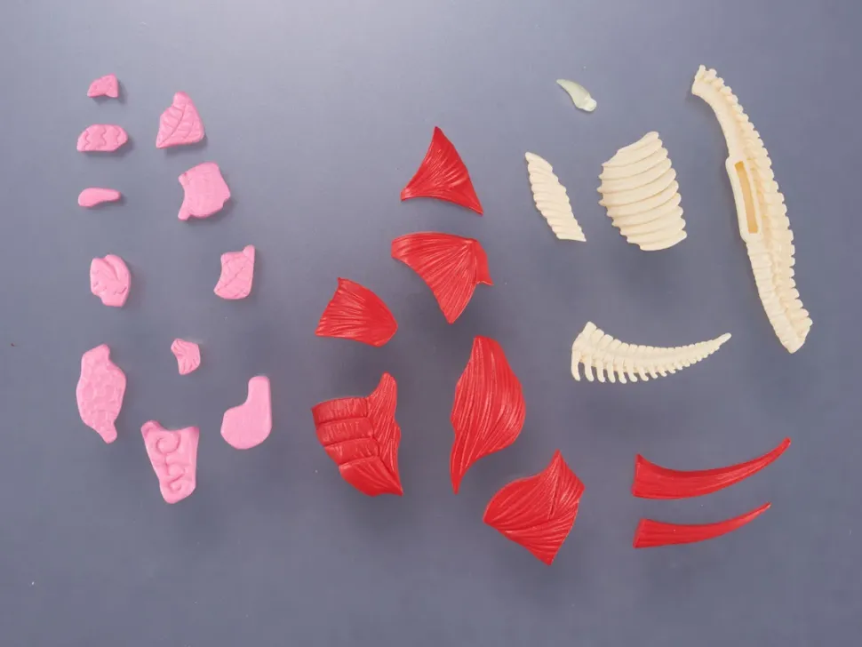 Kaitai Puzzle Fantasy Gomora w/ Bonus Parts