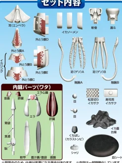 Kaitai Puzzle Squid Puzzle