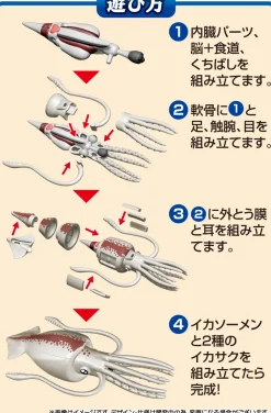 Kaitai Puzzle Squid Puzzle