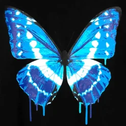 LISTEN FLAVOR Black Cypris Morpho Zip Hoodie