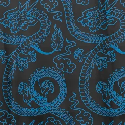 LISTEN FLAVOR Dragon Pattern China Shirt