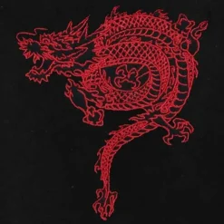 LISTEN FLAVOR Dragon Short China Hoodie