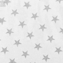 LISTEN FLAVOR Star Tulle Layered Skirt