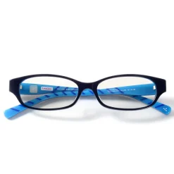 Love Live! Computer Glasses