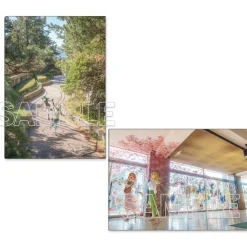 Love Live! Sunshine!! Aqours Clear File Folder