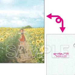 Love Live! Sunshine!! Clear File Folder Aqours