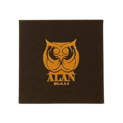 Lycoris Recoil Alan Institute Necklace