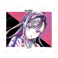 Milgram Ani-Art Canvas Board Collection