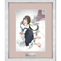 Monogatari Series Final Season Jacket Illustration Chara Fine Graph