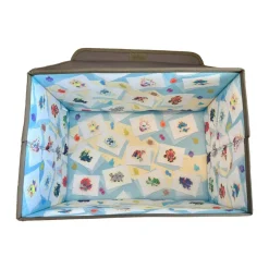 Monster Hunter MonDefo Storage Box Mint Color