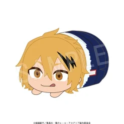 My Hero Academia Bath Ver. Mochikororin Plushie Mascot Box Set