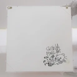 Nanoblock Shibuya Pixel Art Artist Works: Chack Mori Relief