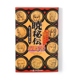 Naruto Akatsuki Hiden: Naruto Secret Chronicles Vol. 6