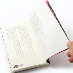 Naruto Akatsuki Hiden: Naruto Secret Chronicles Vol. 6