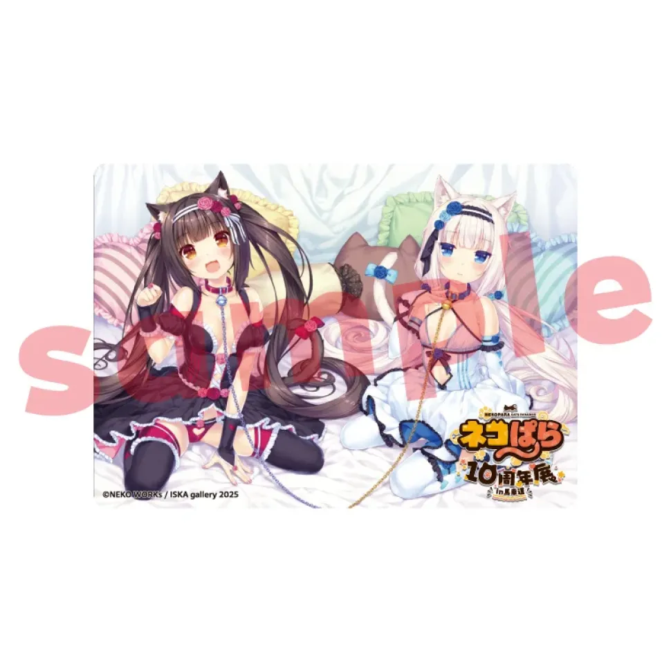Nekopara 10th Anniversary Exhibition in Bashamichi Acrylic Trading Card Box Set