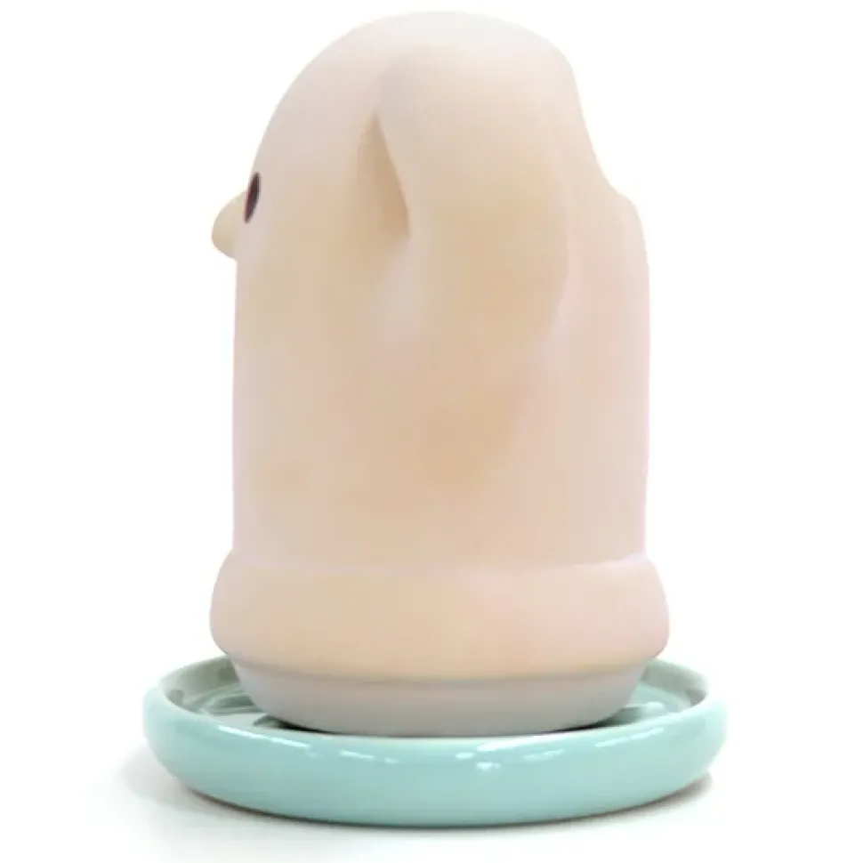 Oh! My HONEY Collection