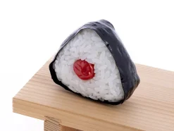 Onigiri Plastic Model