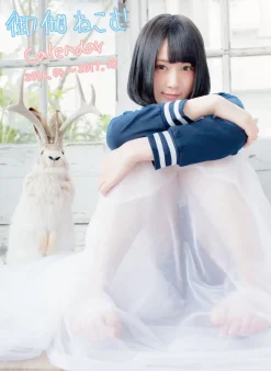 Otogi Nekomu Calendar April 2016–March 2017