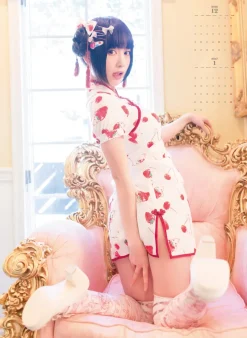 Otogi Nekomu Calendar April 2016–March 2017