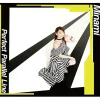 Perfect Parallel Line: Minami 8th Album