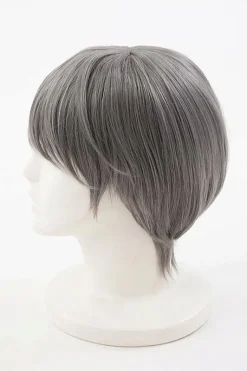 Persona 4 Yu Narukami Wig (Anime Ver.)